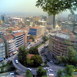 Bursa
