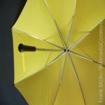 Rettungsschirm, Finanzpolitik