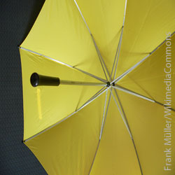 Rettungsschirm, Finanzpolitik