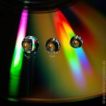 CD, Datenschutz, Finanzpolitik