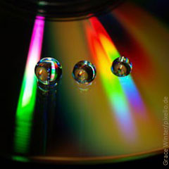 CD, Datenschutz, Finanzpolitik