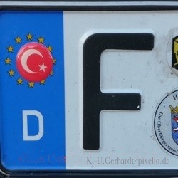 Integration, Innenpolitik