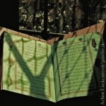 Koran, Integrationspolitik