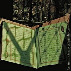 Koran, Integrationspolitik