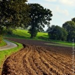 Landwirtschaft, Ländlicher Raum