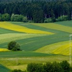 Landwirtschaft, Ländlicher Raum, Acker