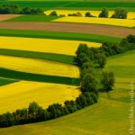 Landwirtschaft, Ländlicher Raum, Raps