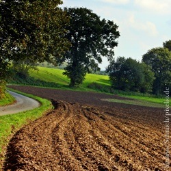 Landwirtschaft, Ländlicher Raum