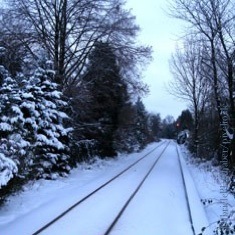 Verkehrspolitik, Bahn, Schiene