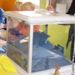 Wahlen, Wahlurne, Innenpolitik