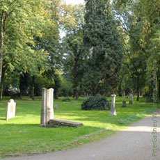 friedhof, kommunalpolitik