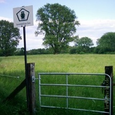 Gentechnik, Landwirtschaftspolitik