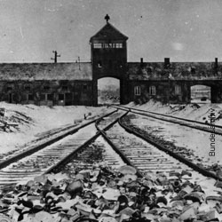 Bundesarchiv_Bild_175-04413, NS-Diktatur