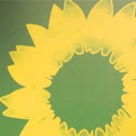 Headerbild: Landesmitgliederversammlung - Bild Dezember 2011